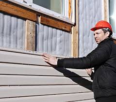 Best Siding Painting and Refinishing  in West Canton, NC